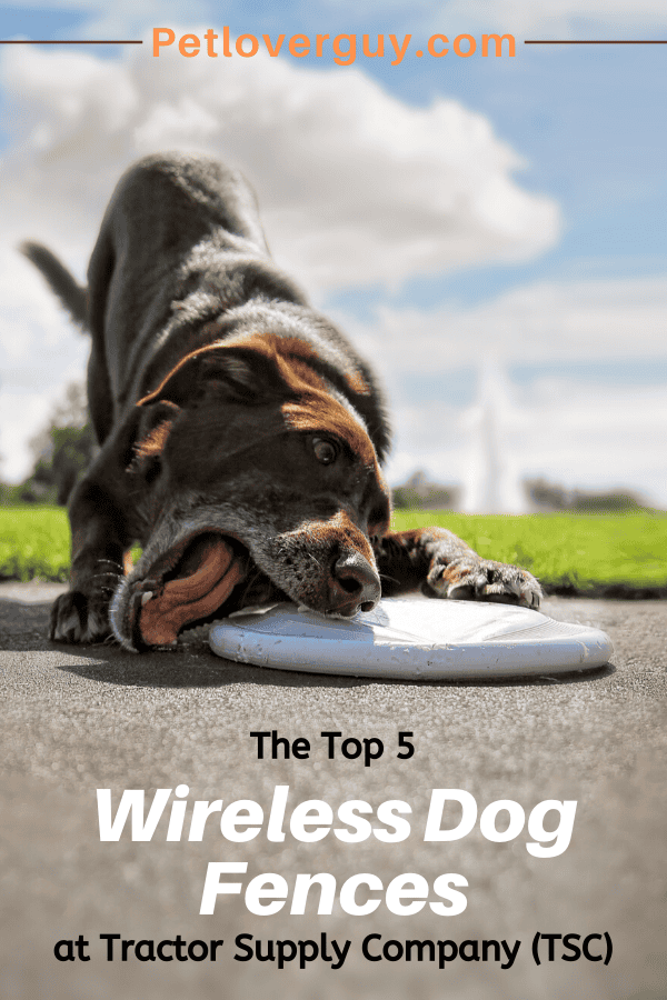 Tractor supply wireless deals pet fence